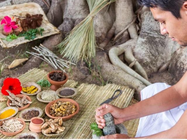panchakarma therapy